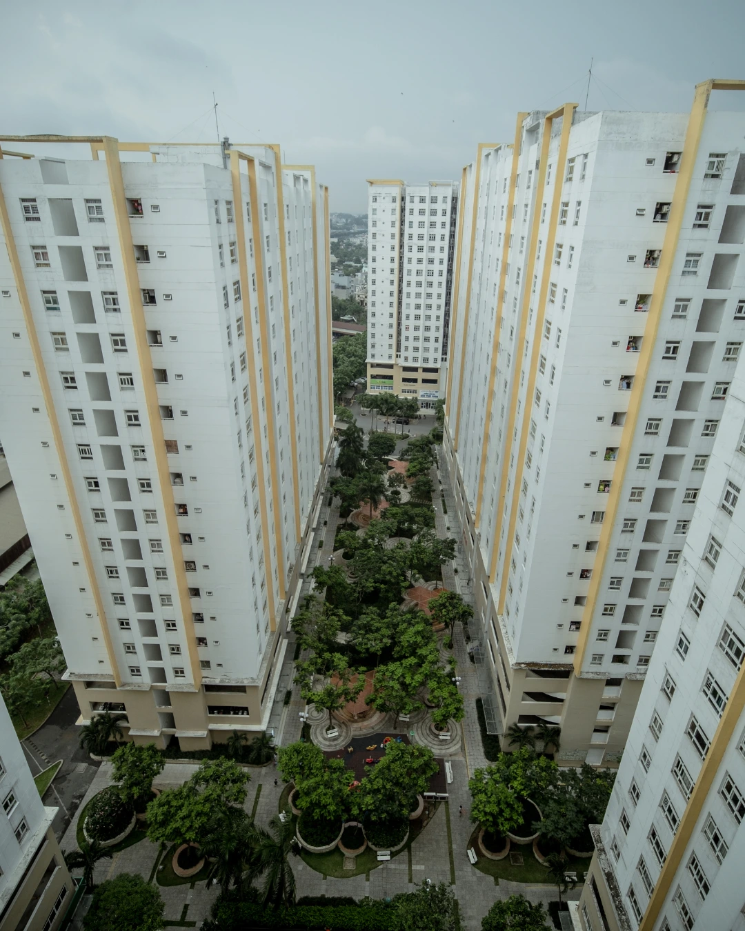 Edificios y Condominios